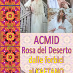 Evento 6-7 maggio Quarto Oggiaro foto3
